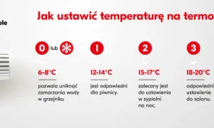 Przy jakiej temperaturze należy włączyć ogrzewanie: 5 prostych zasad