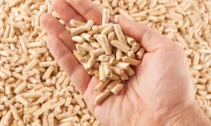 Ile kosztuje pellet? Porównanie cen, marek i regionów w 2024 roku