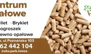 Gdzie kupić ekogroszek Krzesimir? Sprawdź najlepsze oferty i ceny