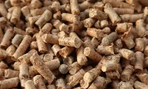 Gdzie kupić pellet lubelskie? Sprawdź najlepsze oferty i ceny