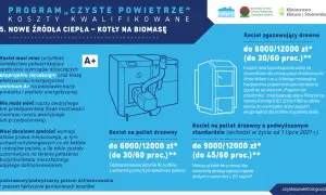 Dofinansowanie na piec na pellet - rodzaje pieców i porównanie