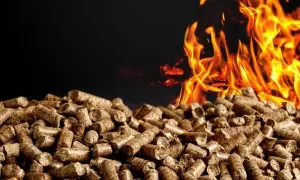 Z czego zrobić pellet? Najlepsze surowce i ich zastosowanie w produkcji