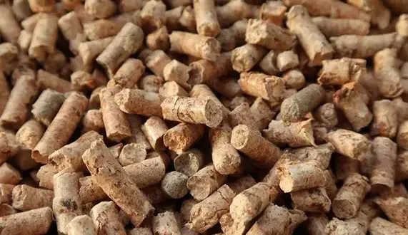 Gdzie kupić pellet lubelskie? Sprawdź najlepsze oferty i ceny