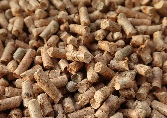 Gdzie kupić pellet lubelskie? Sprawdź najlepsze oferty i ceny